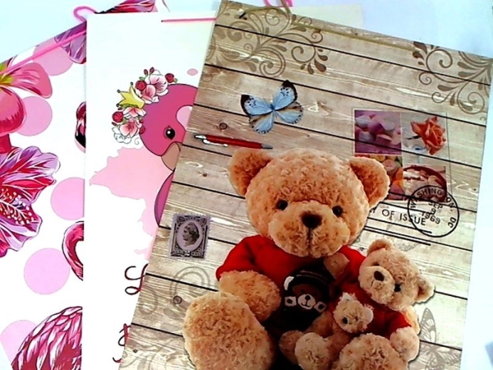 Darilna vrečka XXL