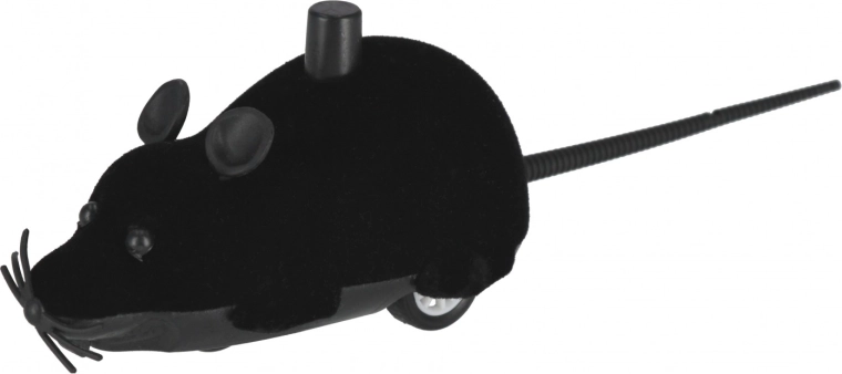 Zabava v različnih barvah