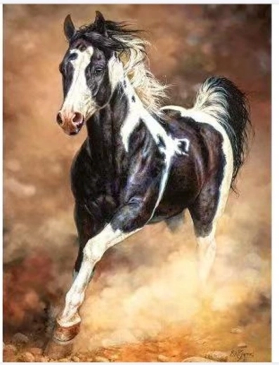 Norimpex Slikanje po številkah – galopirajoči konj v pesku 40 × 50 cm