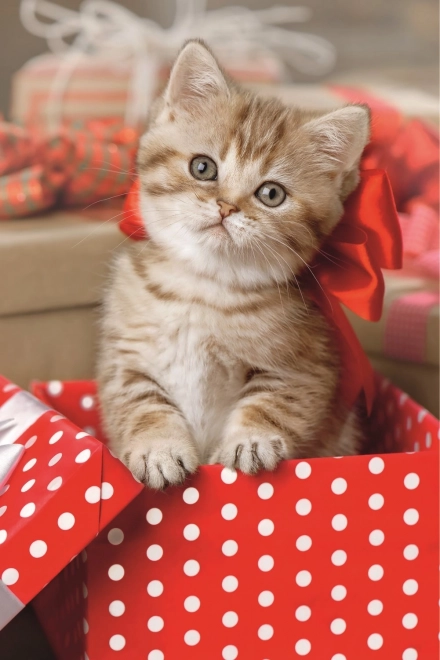 Sestavljanka TREFL ljubka mucka 54 koščkov