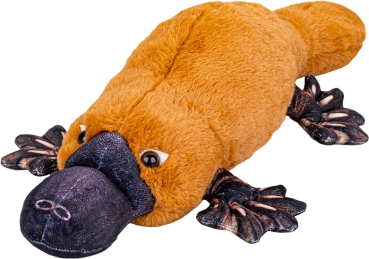 Plush Platypus 50 cm – super soft lying cuddly toy