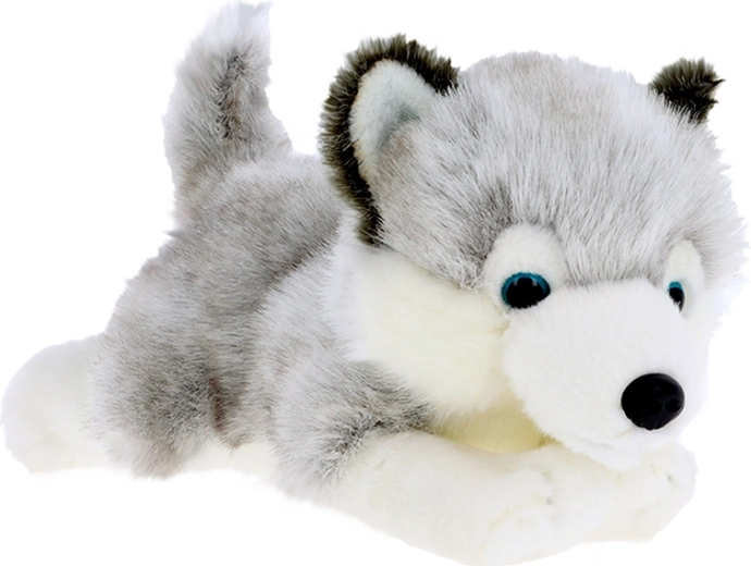 Plišasti mladiček husky 30 cm KEEL TOYS Signature Forever