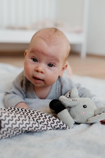 Ropotuljica za razvoj čutov