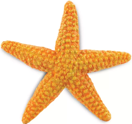 Orange Starfish Safari Ltd. - 1 piece