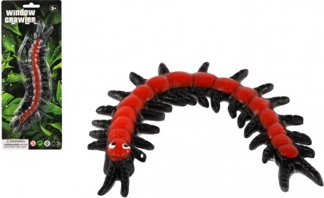 Navijalna stonoga, ki pleza po steklu