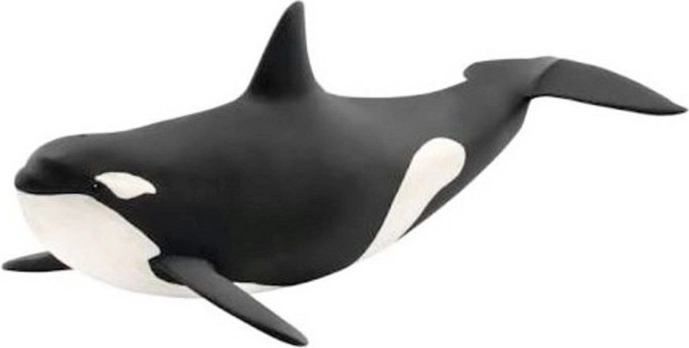 Schleichova oceanska orka