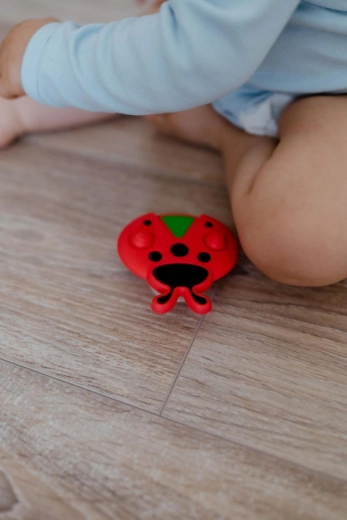 Vrti, stiskaj, raziskuj