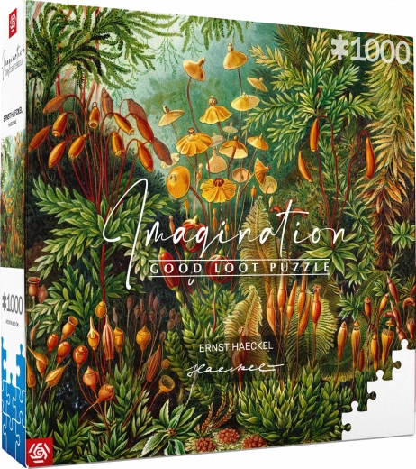 Sestavljanka Imagination: Ernst Haeckel - Muscinae 1000 koščkov