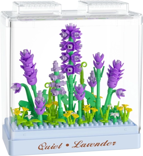 Decoration protected by a transparent cover