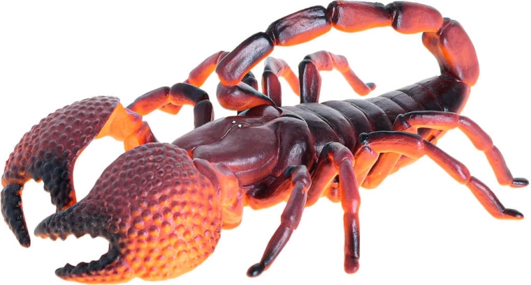 4 insect types – choose your favorite