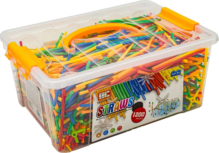 Practical case for storage and carrying
