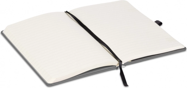 Ruled pages for clear notes