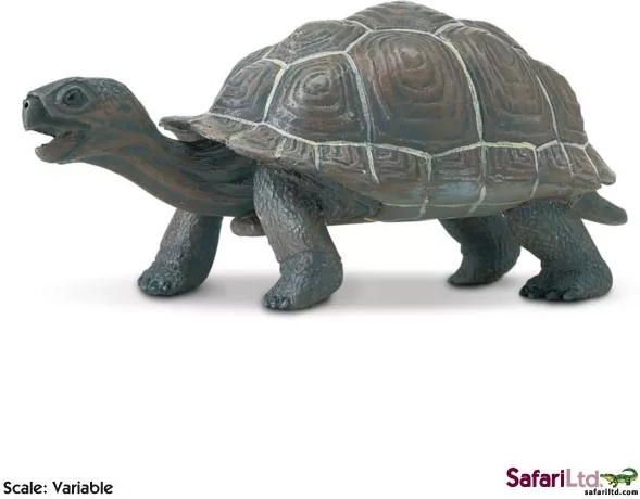 Safari Ltd. mladič galapaške želve, figurica - 1 kos
