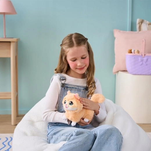 Pet-care play again and again