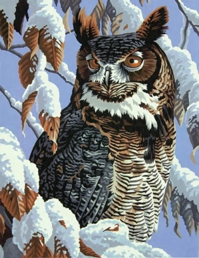 Norimpex Slikanje po številkah Sova na zasneženi veji 40 × 50 cm