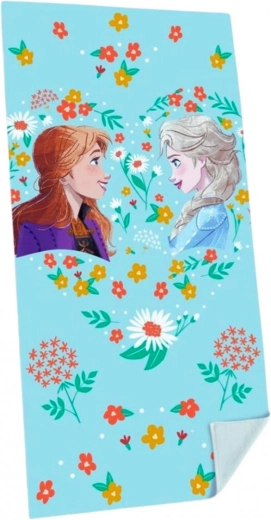 Frozen Towel