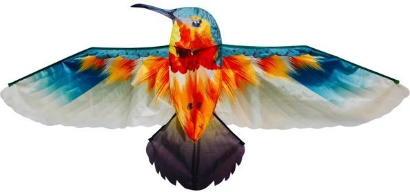 Zmaj Kolibri