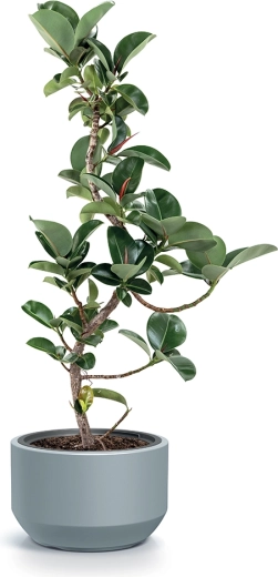 Vzdržljiv material za zunaj in znotraj