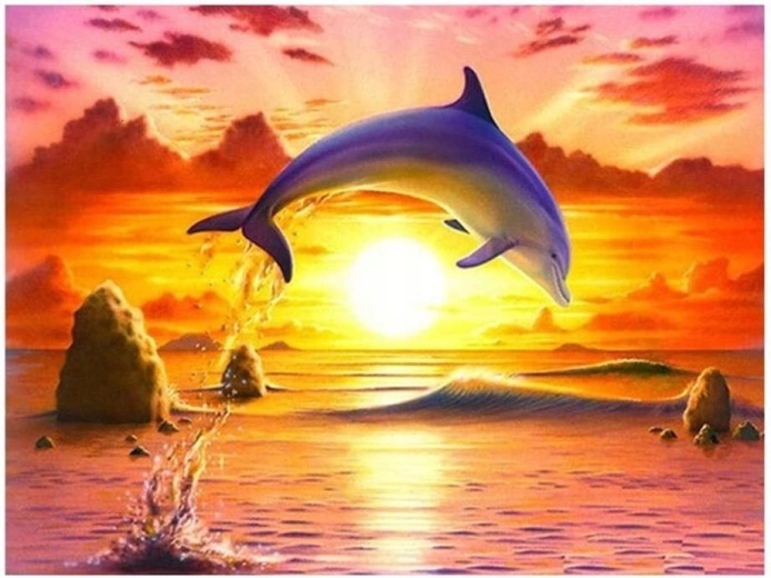 Norimpex Slikanje po številkah Skakajoči delfin ob sončnem zahodu 40 × 50 cm