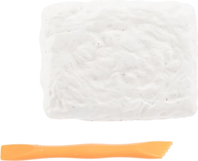 Vse potrebno v paketu