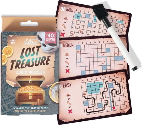 Professor Puzzle – logična igra Lost Treasure – potovalni komplet ugank