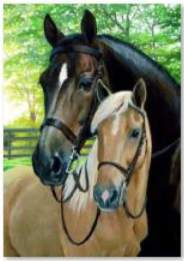 Diamantno vezenje (diamond painting) konji 30 × 40 cm
