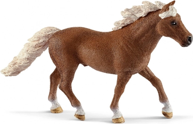 Encourages trust and pony care