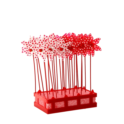 Odlično za aranžmaje in dogodke