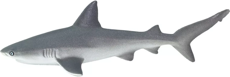 Safari Ltd. španski (grebenski) morski pes – 1 kos