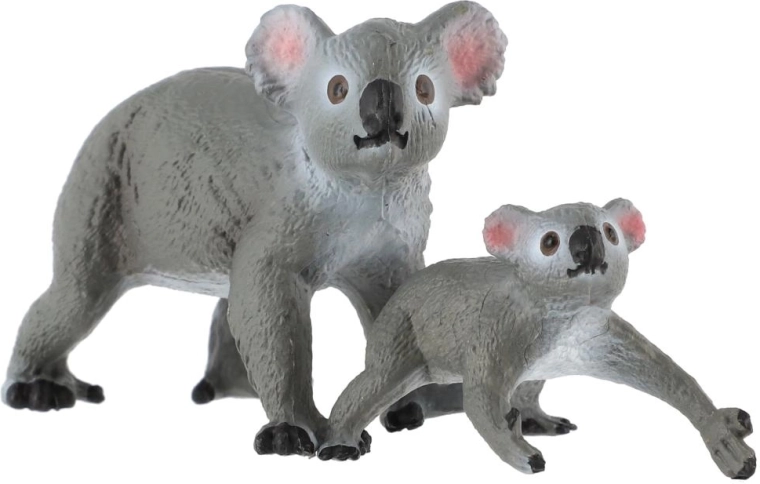 Koala z mladičem
