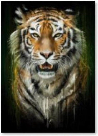 Diamantno vezenje (diamond painting) tiger - 30 × 40 cm