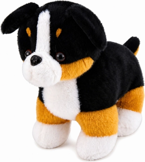Realistic Bernese Mountain Dog look