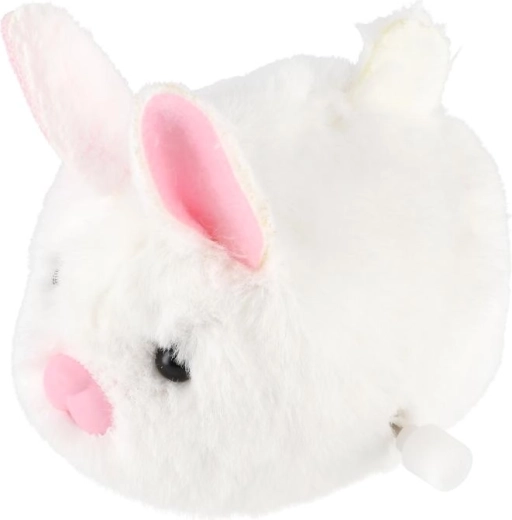 Prisrčno gibanje kot pravo