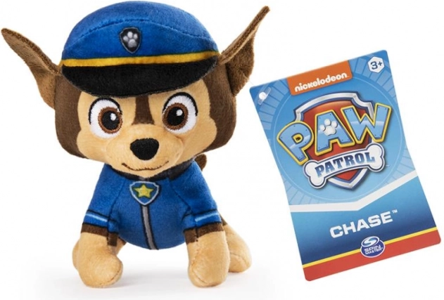 Avtentična uniforma z značko