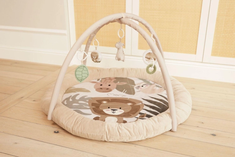 Arches with sensory toys