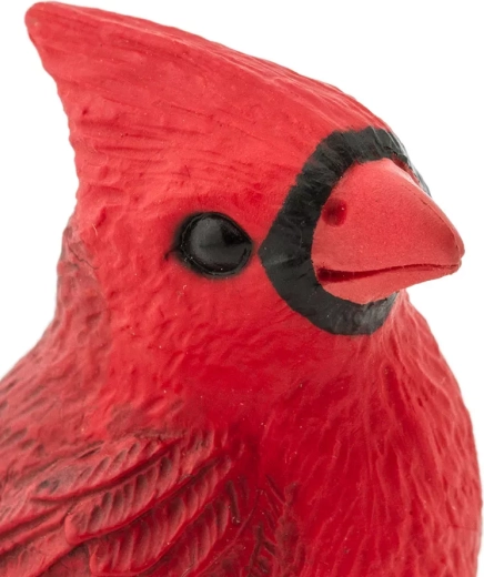 Realistic northern cardinal details