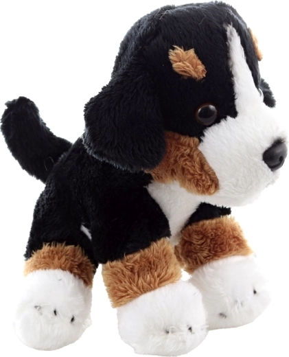 Lahek in priročen spremljevalec