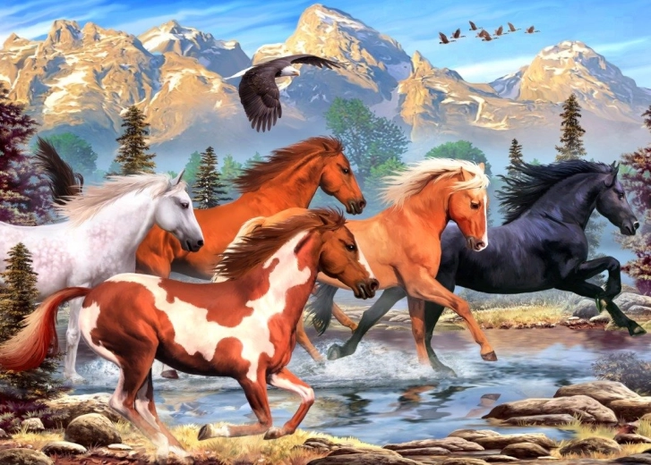 Puzzle ALIPSON Divji in svobodni 500 kosov