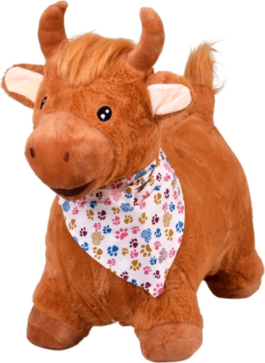 Stilna rutica in ljubek videz