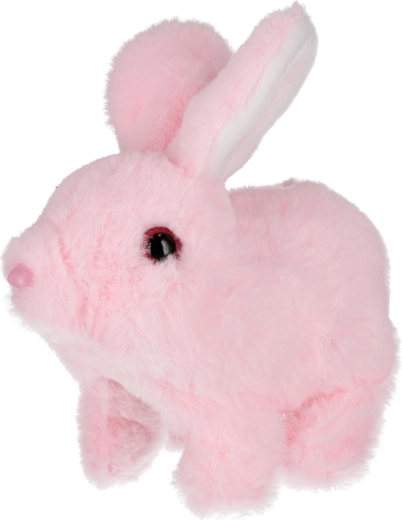 Mehek pliš, ki vabi k crkljanju