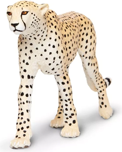 Educational toy for learning about Africa