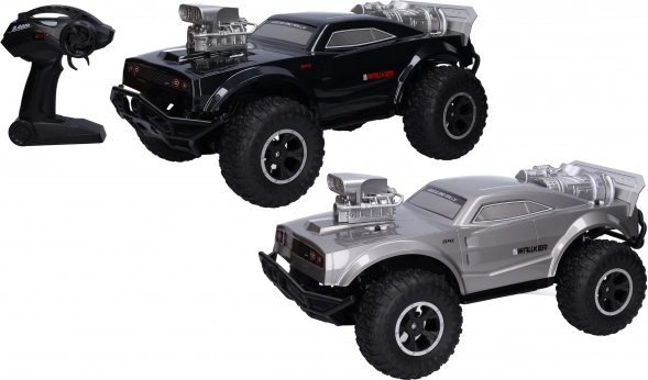RC avto na daljinsko upravljanje 48 cm