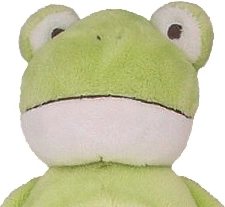 Varna zasnova od rojstva