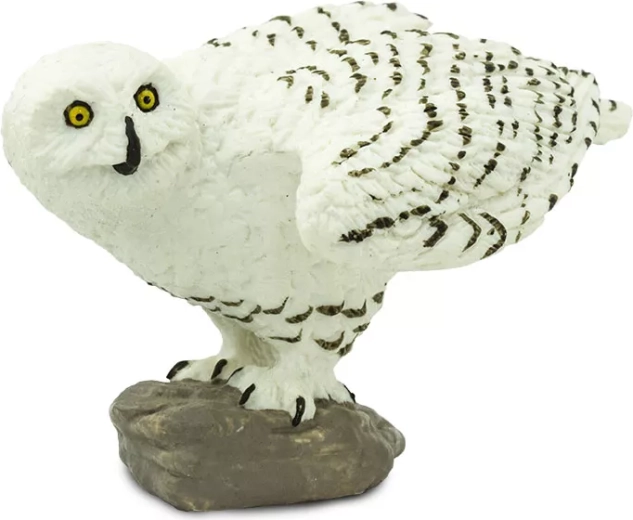 Safe and non-toxic toy