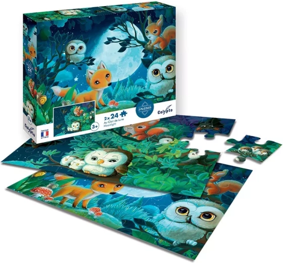 Sentosphere Moonlight Puzzle