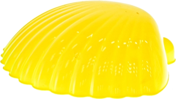 Realistični odtisi z modelčkom školjke