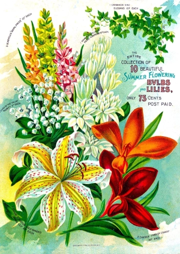 Enjoy sestavljanka Vintage cvetlični katalog 1000 koščkov