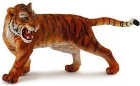 Amurski tiger