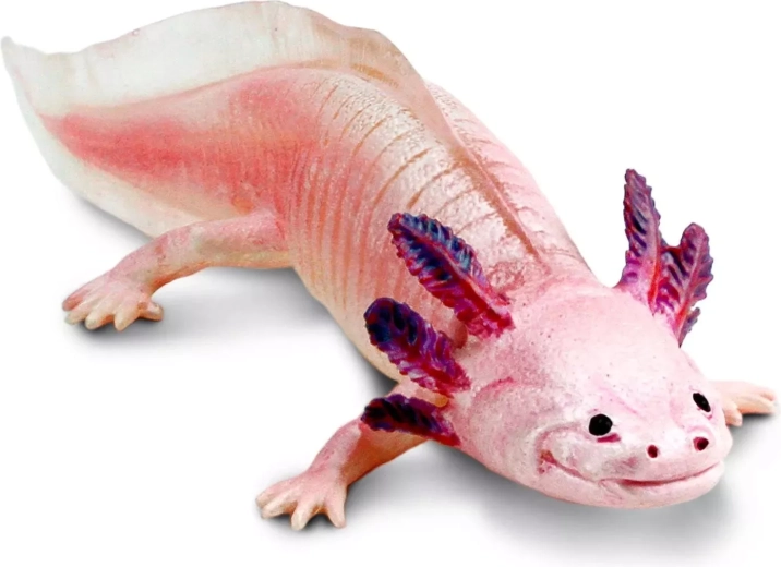 Safari Ltd. figurica aksolotla