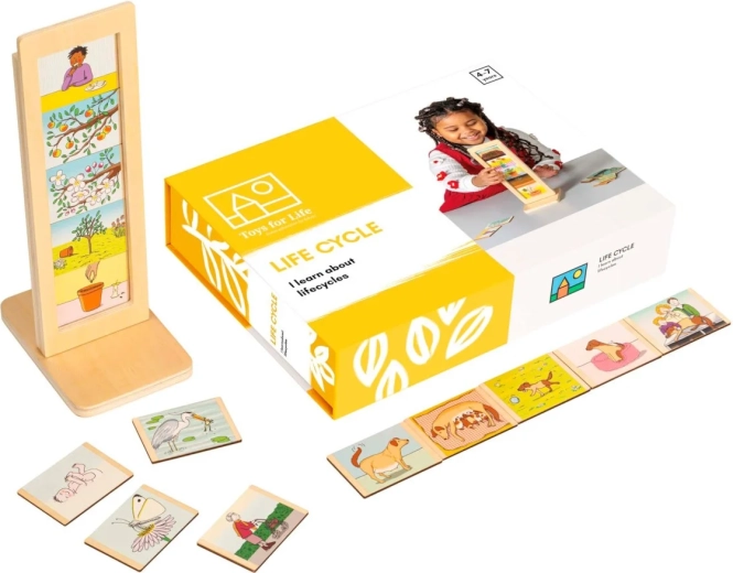 Toys for Life življenjski cikli – izobraževalni komplet s karticami